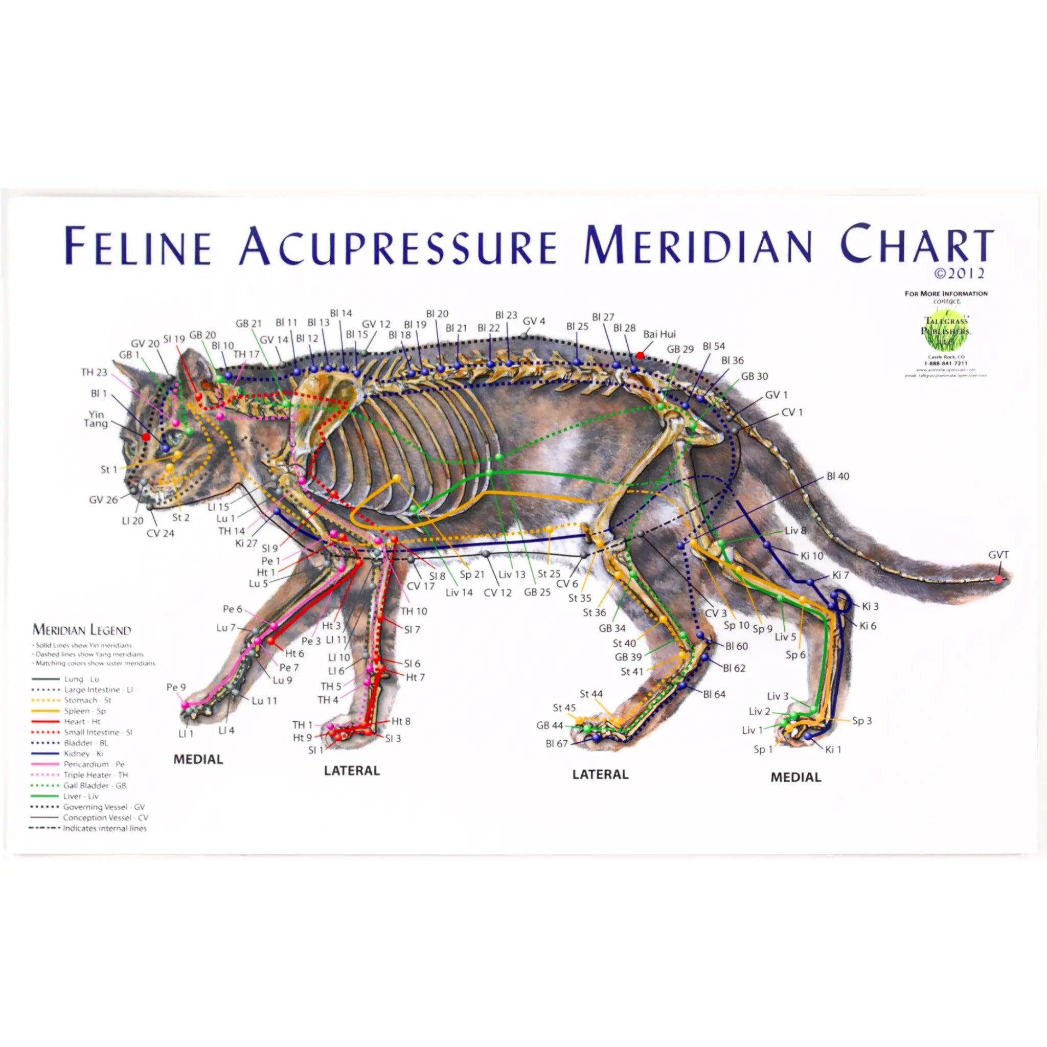 photo of the feline meridian chart