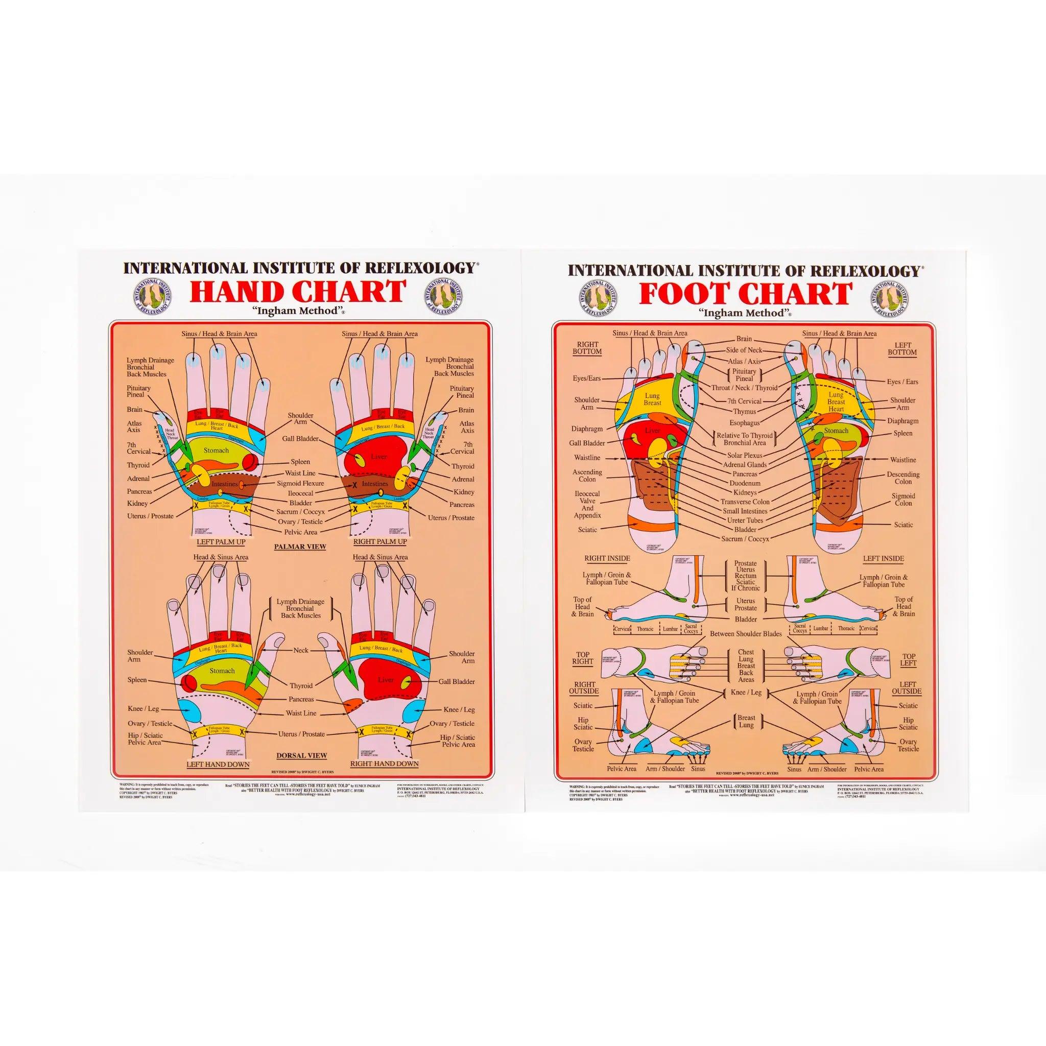 photo of the reflexology hand and foot chart