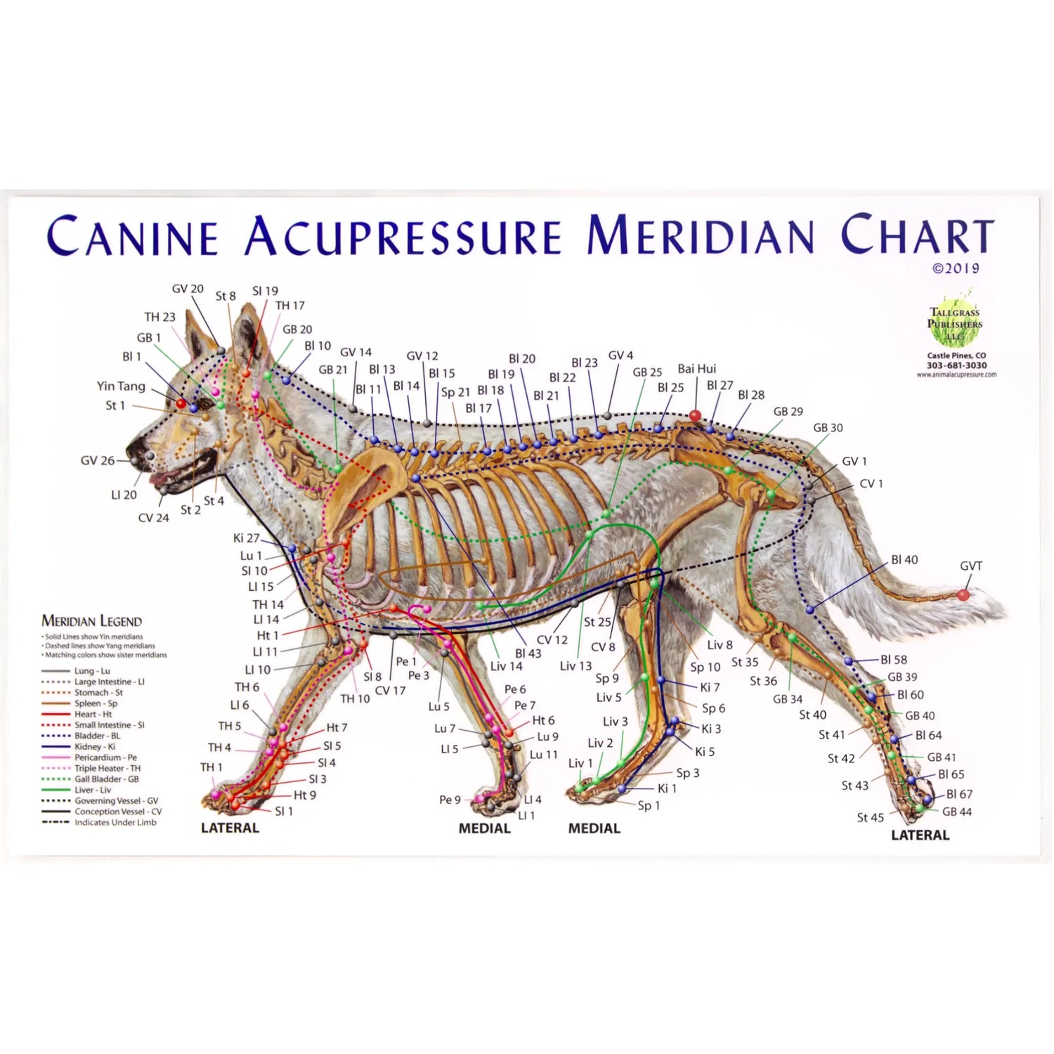 Canine Meridian Chart