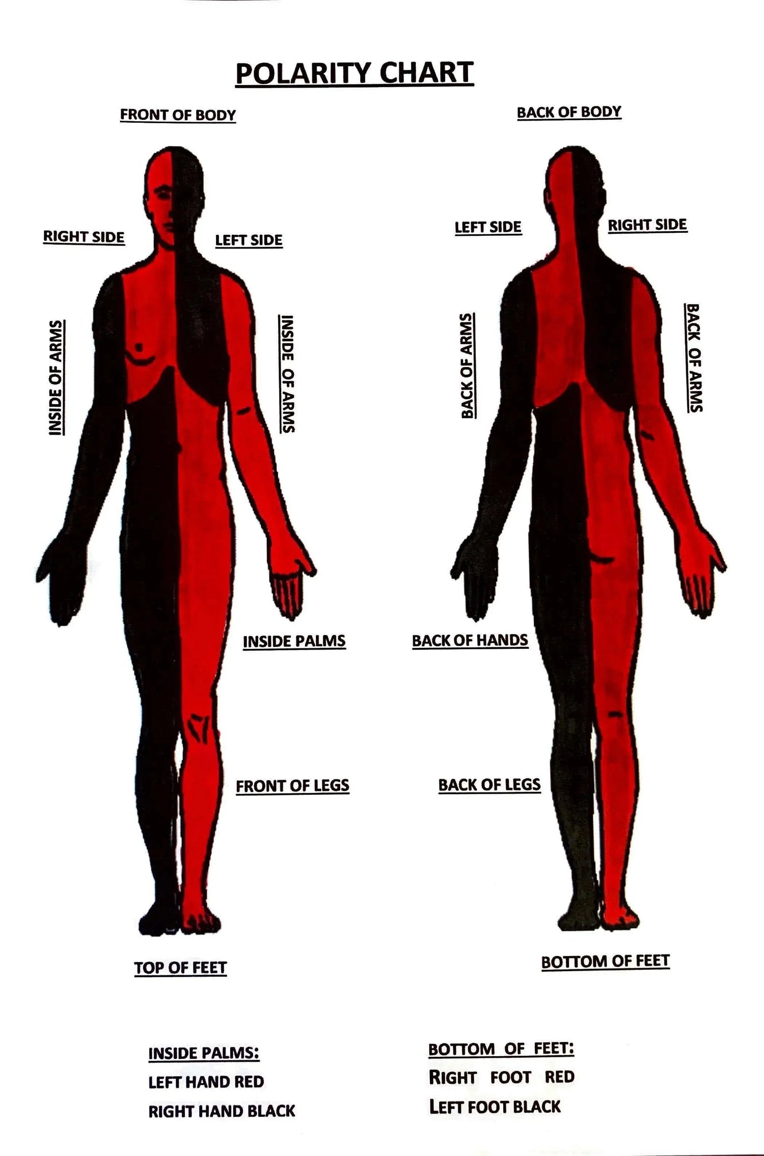🎁 Polarity Chart (100% off)